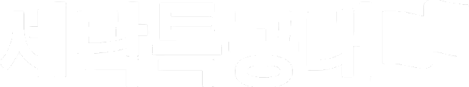세탁특공대